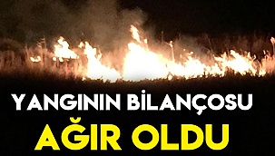 Yangının bilançosu ağır oldu