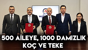 500 Aileye, 1000 Damızlık Koç ve Teke