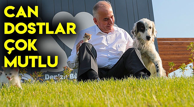 Can dostlar çok mutlu