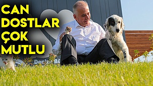 Can dostlar çok mutlu