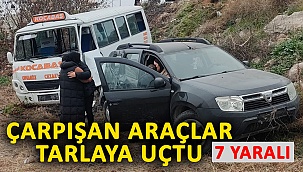 Çarpışan Araçlar Tarlaya Uçtu: 7 Yaralı