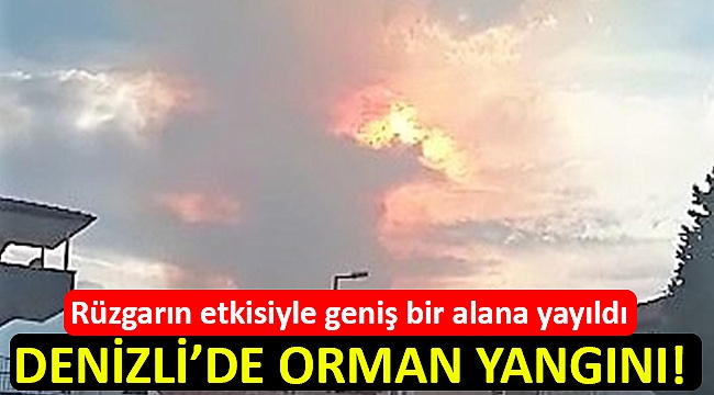 Denizli'de orman yangını!