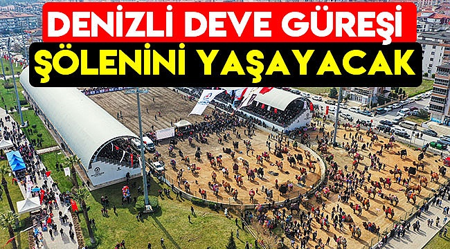 DENİZLİ DEVE GÜREŞİ ŞÖLENİ YAŞAYACAK