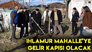 Ihlamur Mahalle’ye gelir kapısı olacak