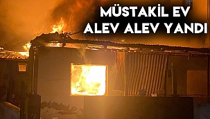 Müstakil ev alev alev yandı
