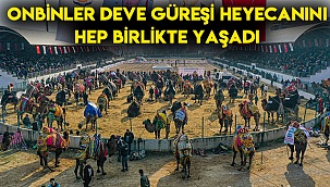 Onbinler deve güreşi heyecanını hep birlikte yaşadı