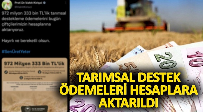 Tarımsal Destek Ödemeleri Hesaplara Aktarıldı