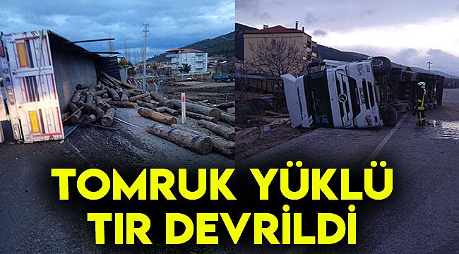Tomruk yüklü tır devrildi