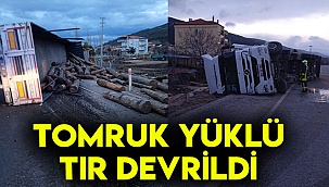 Tomruk yüklü tır devrildi