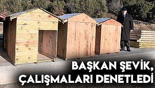 Başkan Şevik, çalışmaları denetledi