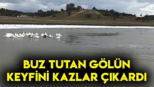 Buz tutan gölün keyfini kazlar çıkardı