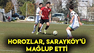 Horozlar, Sarayköy'ü mağlup etti