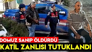 Katil zanlısı tutuklandı