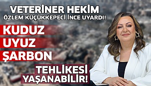 Kuduz, uyuz, şarbon tehlikesi yaşanabilir!