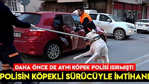 Polisin köpekli sürücüyle imtihanı
