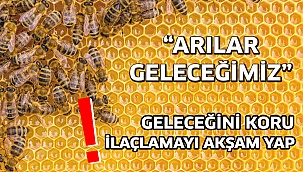 “Tarımsal ilaçlamada akşam saatleri tercih edilmeli”