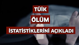 TÜİK ölüm istatistiklerini açıkladı