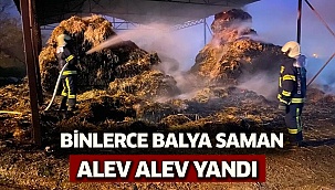 Binlerce balya saman alev alev yandı   