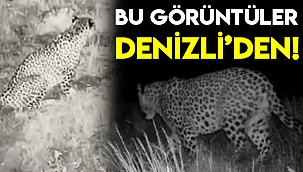 Bu görüntüler Denizli'den!