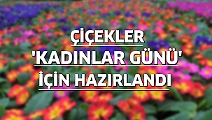 Çiçekler 'Kadınlar Günü' için hazırlandı