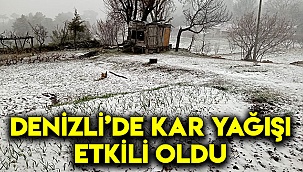 Denizli'de kar yağışı etkili oldu