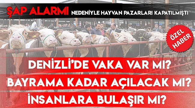Denizli'de şap tehlikesinde son durum ne?