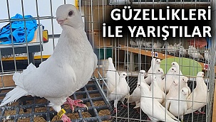 Güzellikleri ile yarıştılar