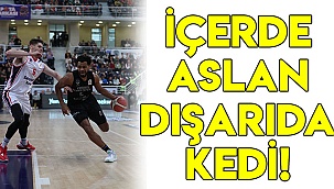 İÇERDE ASLAN DIŞARIDA KEDİ!