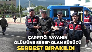 Çarptığı yayanın ölümüne sebep olan sürücü serbest bırakıldı  