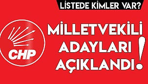 CHP DENİZLİ'DE KESİN ADAYLAR AÇIKLANDI!