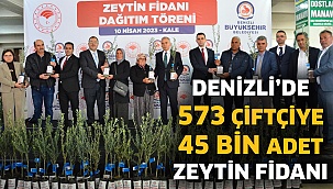 Denizli’de 573 çiftçiye 45 bin adet zeytin fidanı