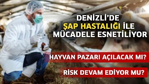 Denizli’de “Şap Hastalığı” ile mücadele esnetiliyor!