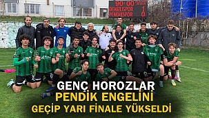  Genç Horozlar Pendik engelini geçip yarı finale yükseldi  
