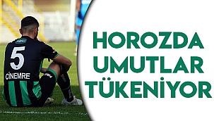 Horozda umutlar tükeniyor