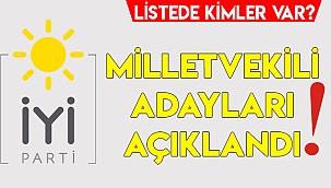 İYİ Parti Denizli Milletvekili Adayları Belli Oldu