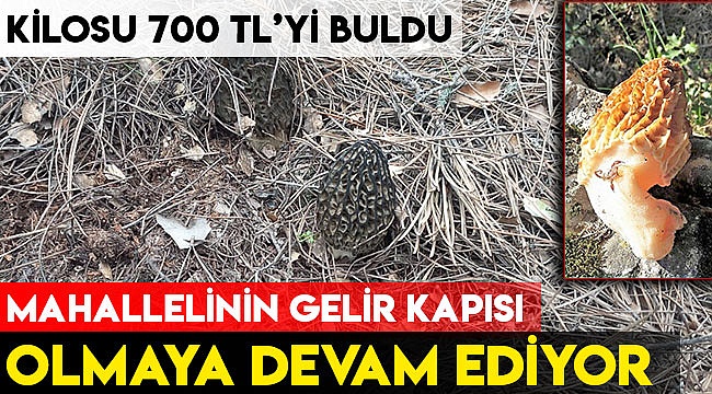 Mahallelinin gelir kapısı olmaya devam ediyor