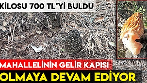 Mahallelinin gelir kapısı olmaya devam ediyor