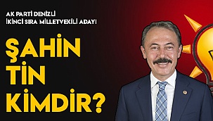 Şahin Tin kimdir?