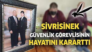Sivrisinek, güvenlik görevlisinin hayatını kararttı!