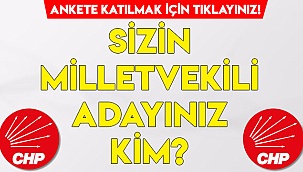 Sizin milletvekili adayınız kim?