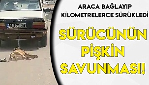 Sürücünün pişkin savunması tepki topladı
