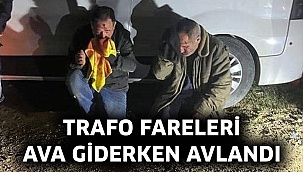 Trafo fareleri ava giderken avlandı