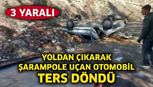 Yoldan çıkarak şarampole uçan otomobil ters döndü: 3 Yaralı