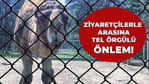 Ziyaretçilerle arasına tel örgülü önlem!