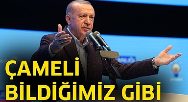 Çameli bildiğimiz gibi