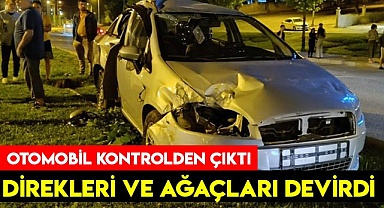 Kontrolden çıkan otomobil direkleri ve ağaçları devirdi
