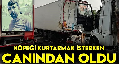 Köpeği kurtarmak isterken canından oldu
