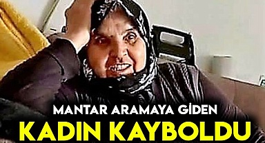 Mantar aramaya giden kadın kayboldu