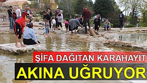 Şifa dağıtan Karahayıt akına uğruyor
