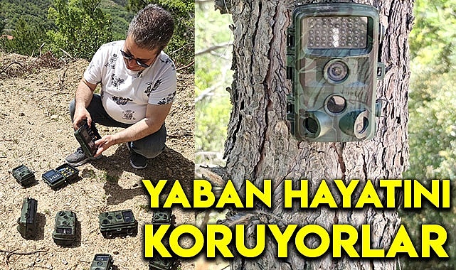 Yaban hayatını koruyorlar